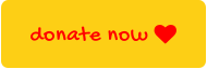 donate now 