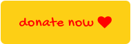 donate now 